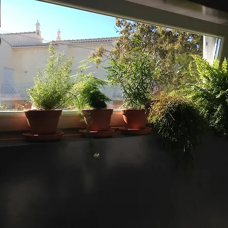 Vivenda Brito Pensión 3*