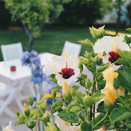 Vivenda Brito Pensión Carvoeiro (Lagoa)