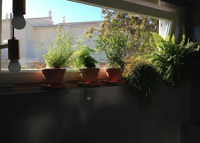 Vivenda Brito בית הארחה 3*