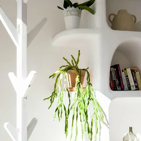 Affittacamere Vivenda Brito