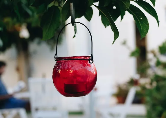 بيت ضيافة Vivenda Brito كارفويرو